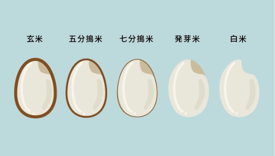 米の種類